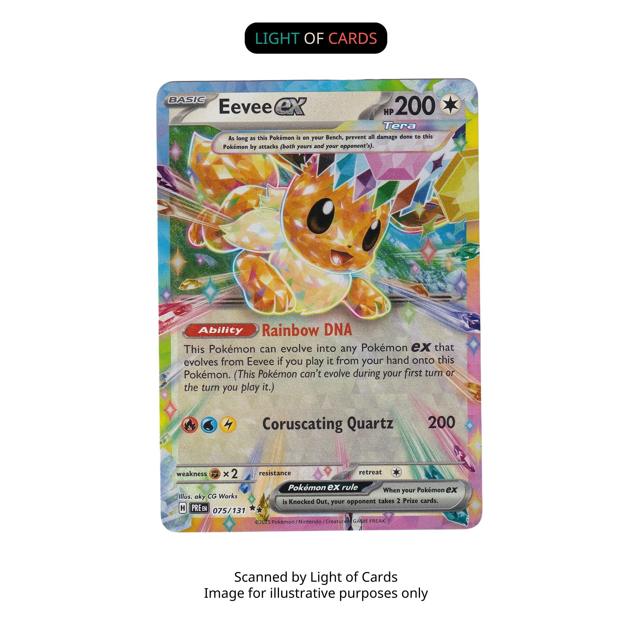 Sealed] Pokemon TCG - Eevee ex - 075/131
