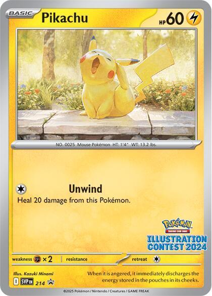 Pokémon TCG - Pikachu - 214 - JP - Promo