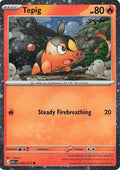 Pokémon TCG - Tepig - 029/217 - Ascended Heroes