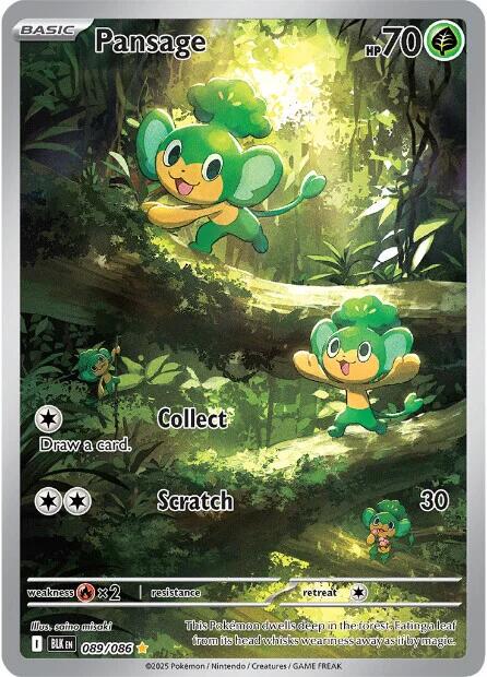 Pokémon TCG - Pansage - 089/086 - Black Bolt