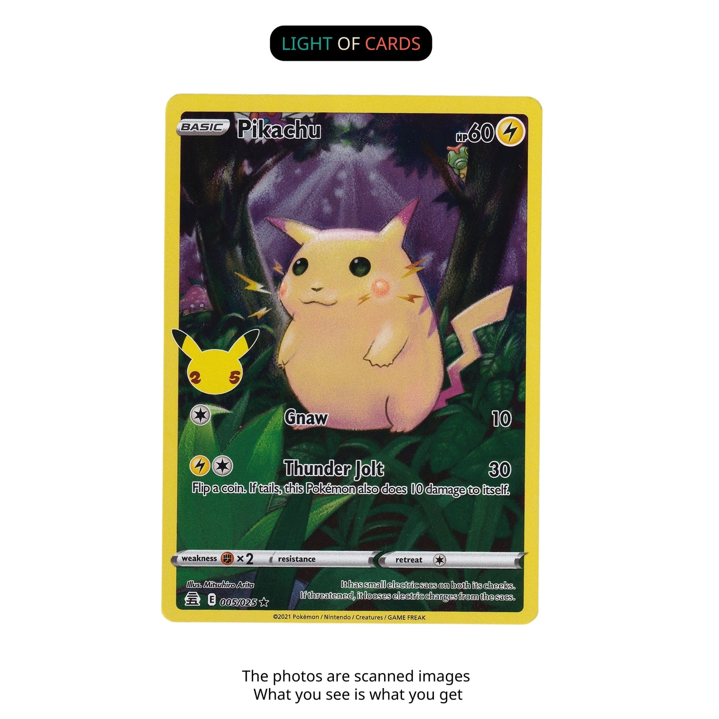 Pokémon TCG - Pikachu - 005/025 - Celebrations 25th Anniversary - Holo Rare