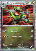 Pokémon TCG - Fraxure - 015/020 - JP - Dragon Selection